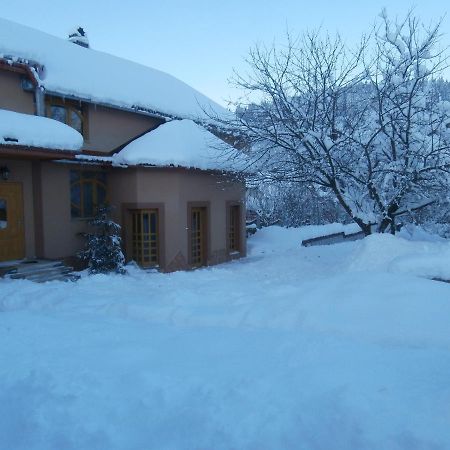 Karpatskiy Domyk Izki Exteriör bild