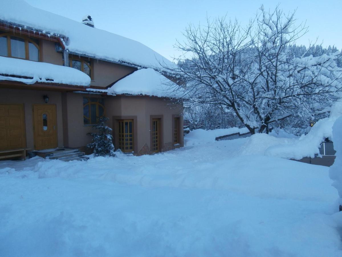 Karpatskiy Domyk Izki Exteriör bild
